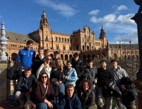 Zwei Wochen Erasmus+ Berufspraktikum Dublin und Sevilla